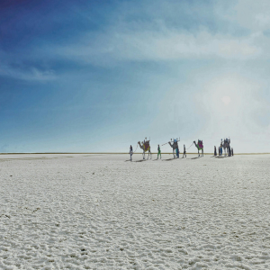 Rent a Car in Rann of kutch